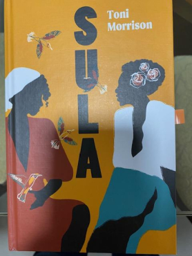 LEIA MULHERES - RIO CLARO - SULA - TONI MORRISON